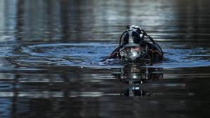 Семь человек найдены мертвыми на российском пляже - «В мире - видео»