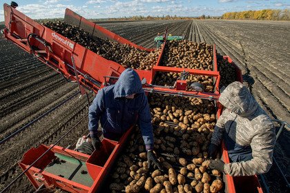 Как россияне живут с кредитами - «Общество»