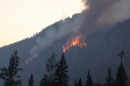«Оскорбляла меня»: убийца блогерши сделал заявление - «В мире - видео»