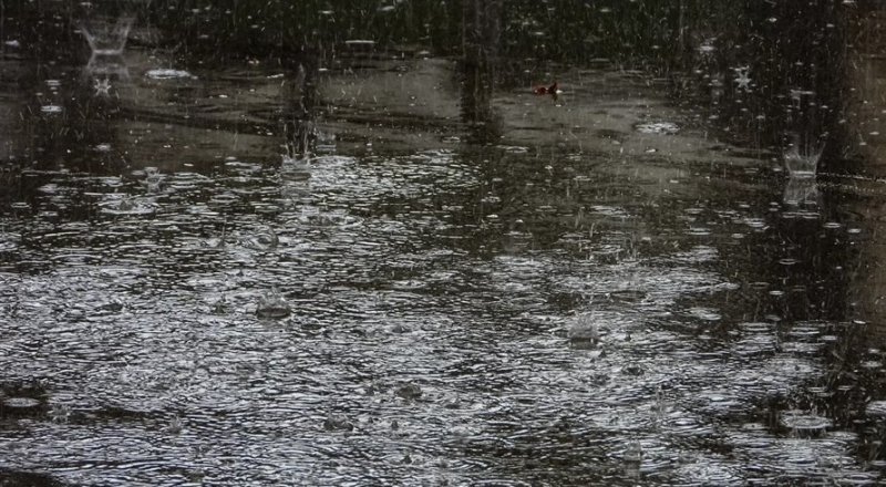 Четыре дня непогоды ожидаются в Крыму - «Новости Крыма»